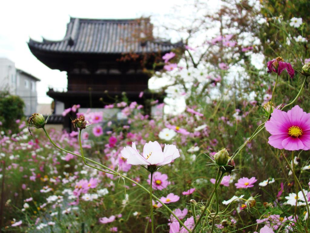 Yamabe Hotel Tenri Екстериор снимка
